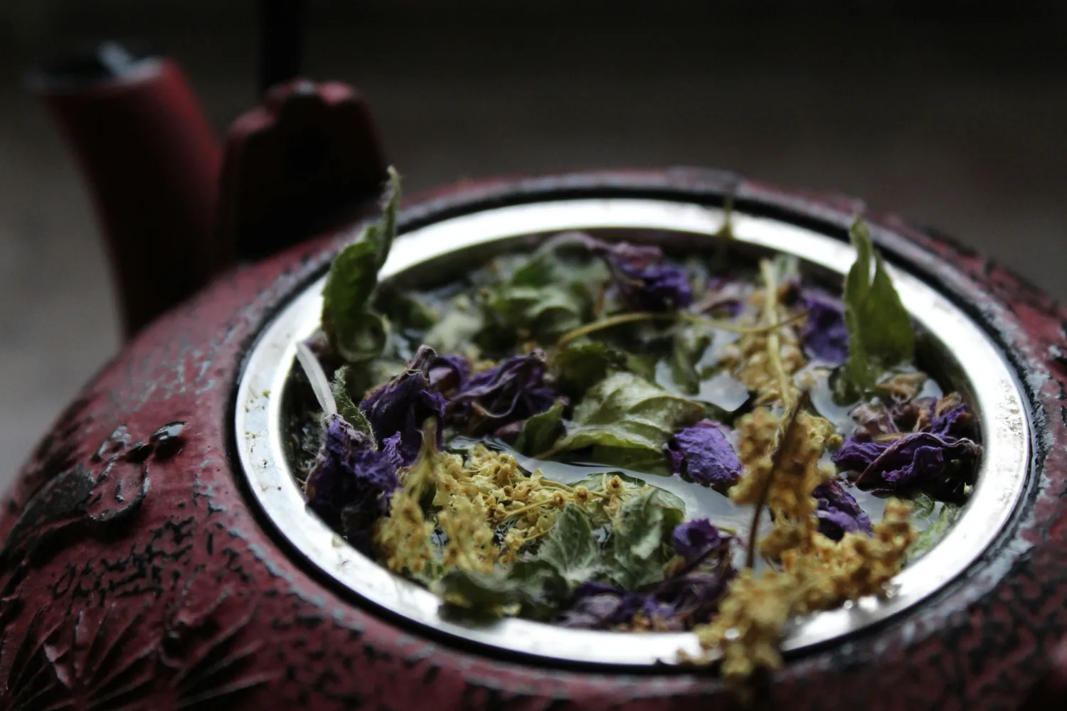 Your Path to Thriving Culinary Herbs for Delicious Homemade Meals