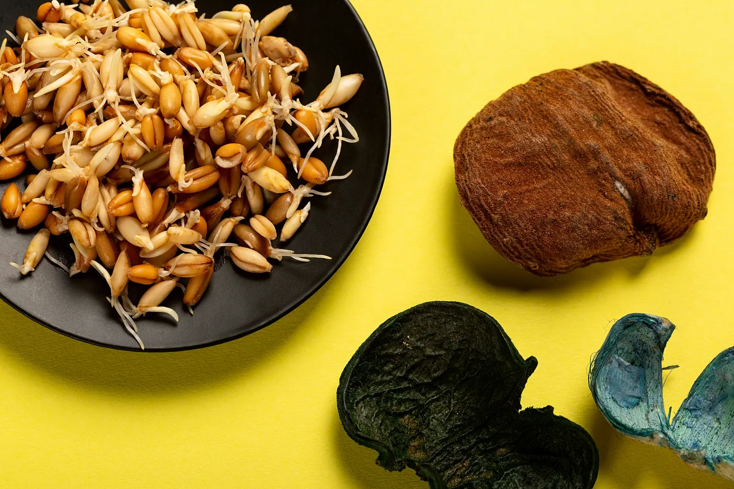 The Nutritional Advantages of Whey Protein Compared to Pea Protein