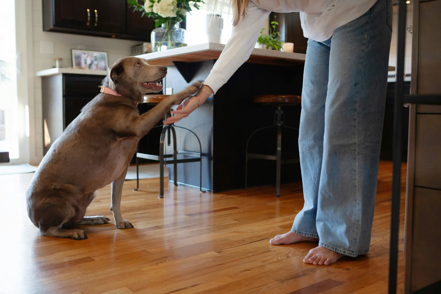 How to Read Your Dog's Body Signals for Better Bonds
