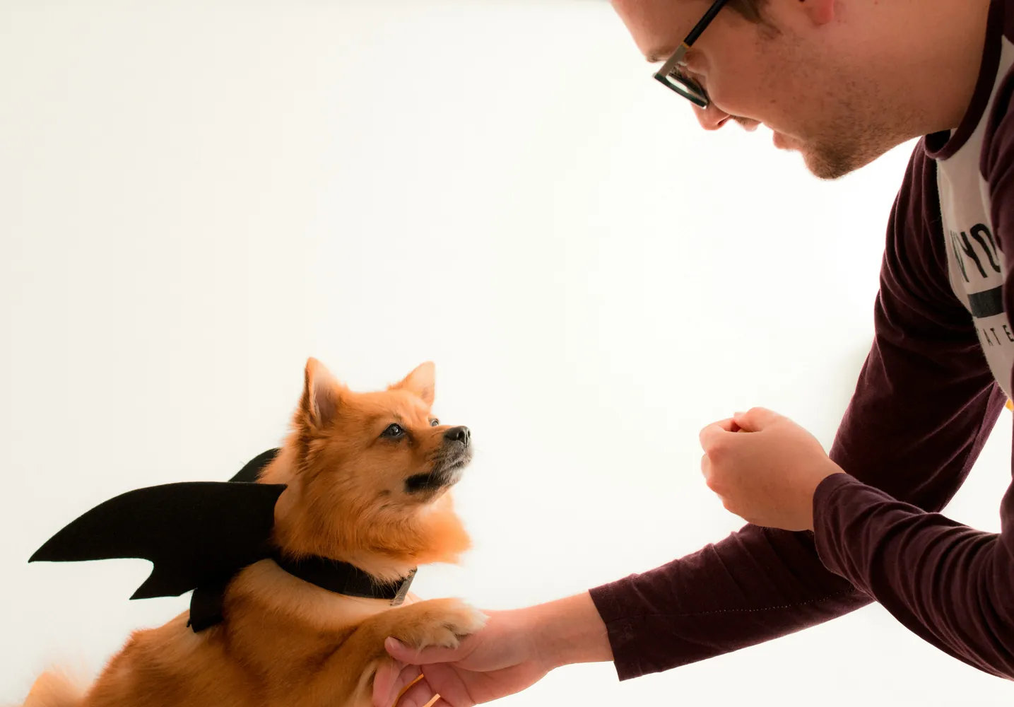 Navigating the Basics of Clicker Training for Improved Pet Interactions