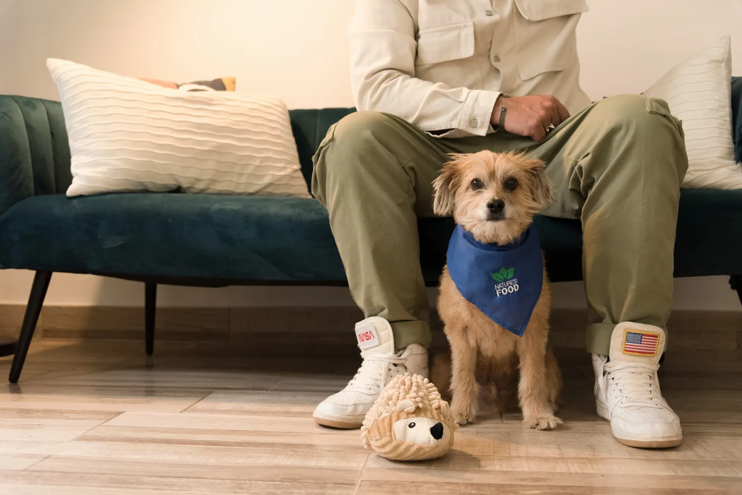 The Impact of Therapy Dogs on Veterans' Emotional Well-Being
